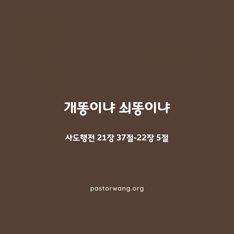 개똥이냐 쇠똥이냐_사도행전 21장 37절 – 22장 5절